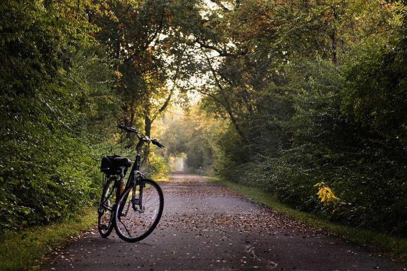 Wycieczka rowerowa Młodzawy – Stradów - Kraina pięknej przyrody